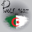 Wolf_16dz