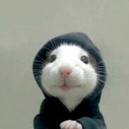 我褲子裡有松鼠