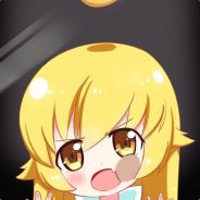 江海折耳猫