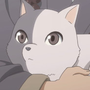 为什么抽不到塞雷娅