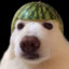 carcroks