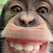 полумишаполукруг