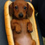 Weener On Bun
