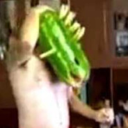 диджей арбуз