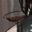 Wristwatch