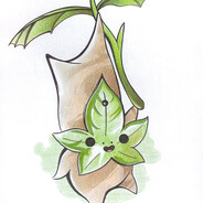 ShyKorok