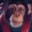 monke