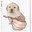 BOOF