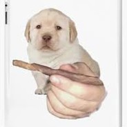 BOOF