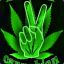 MARIHUANA !