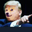 DonalDoge