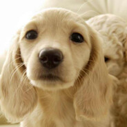 风中有朵雨做的云