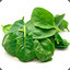 refriedspinach