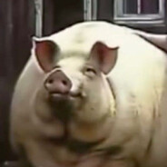 Дима шишкоплюйка