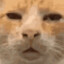 MrPieper