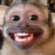 FavelaLoka Steam avatar