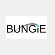 Bungie Destiny Tester