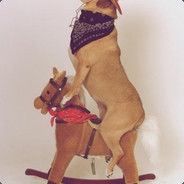 自摸清一色豪华七小对