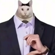 AAA-建材批发猫总