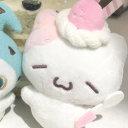 那天与你邂逅的欣欣