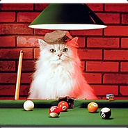 Poolcat