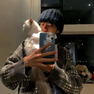 避税多的就应该猛查