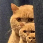 虎牙丶优秀23727624