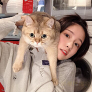 海绵体宝宝占领了高地