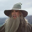 Vice Gandalf