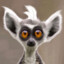 lemurS