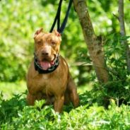 Living like Stifler!