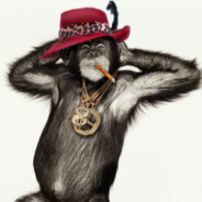 chimp pimpin