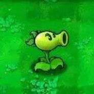 XIAO CHU 随机神职