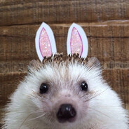 ็็็็็็็็็็