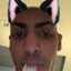 Discord Kitten