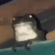 ManWhale