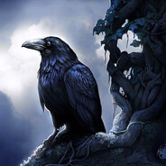 RaVeN