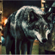 GREY WIND