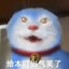 我是⭐⭐