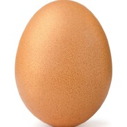 jajko49000