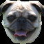 Puglord[R-G]