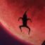 THE SPERM