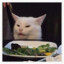 Mr. Salad Cat