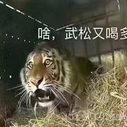 中熊呼叫猎人