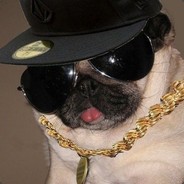 The One That Pugs