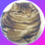 I Love Catboys and Femboys &lt;3