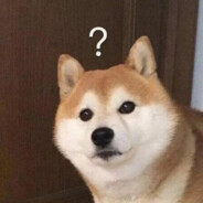 伊尔美格名产大河狸