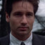 Mr Fox Mulder