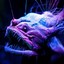 EnhancedSalmon09
