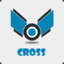 ✪_CroSS_✪  CSGO-Skins.com